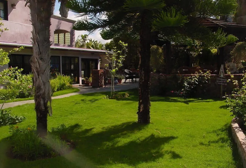 The Black Orchid Bed And Breakfast-1