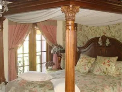The Black Orchid Bed And Breakfast-3